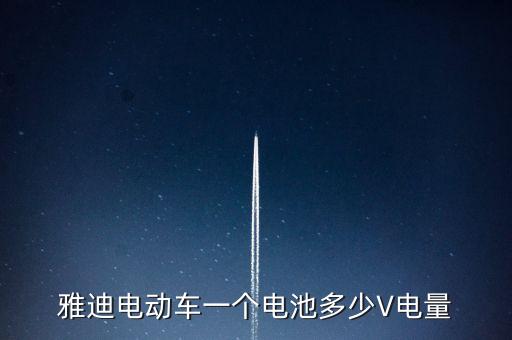 雅迪电动车一个电池多少V电量
