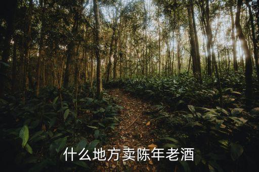 什么地方卖陈年老酒