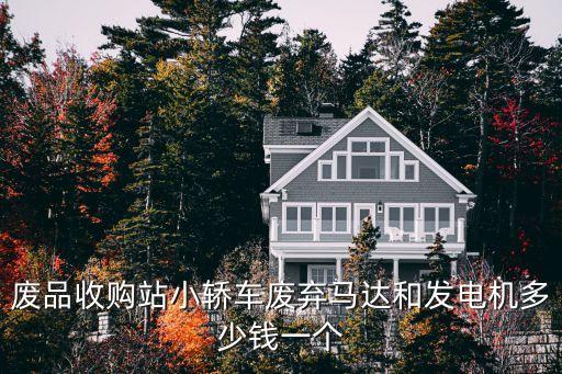废品收购站小轿车废弃马达和发电机多少钱一个