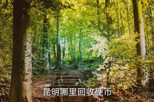 哪里可以回收硬币，什么地方回收硬币