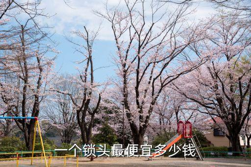 一个锁头最便宜多少钱