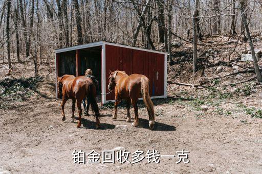 铂金回收多钱一克