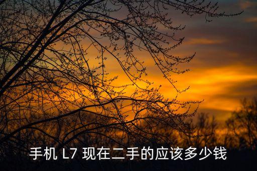 手机 L7 现在二手的应该多少钱