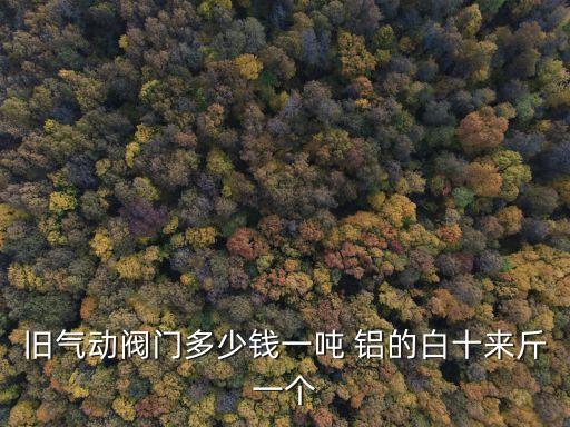 旧气动阀门多少钱一吨 铝的白十来斤一个