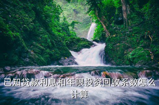 期权回收系数怎么算，已知贷款利息和年限投资回收系数怎么计算