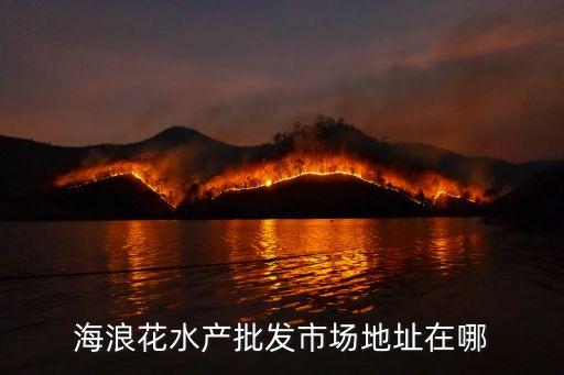 海浪花水产批发市场地址在哪