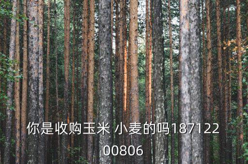 你是收购玉米 小麦的吗18712200806