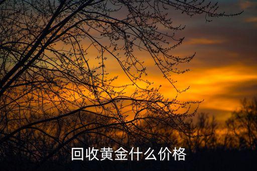 回收黄金什么价格