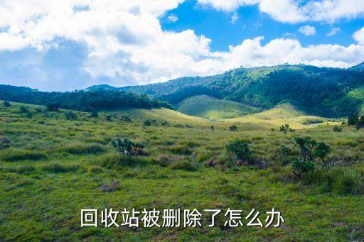 回收站被删除了怎么办