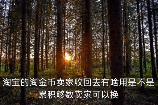 回收淘金币是怎么赚钱，淘宝的淘金币卖家收回去有啥用是不是累积够数卖家可以换