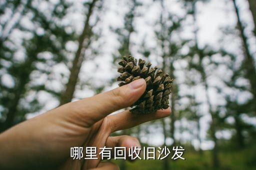 哪里有回收旧沙发