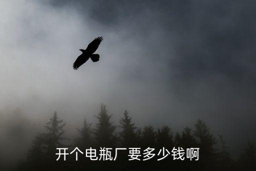 开个电瓶厂要多少钱啊