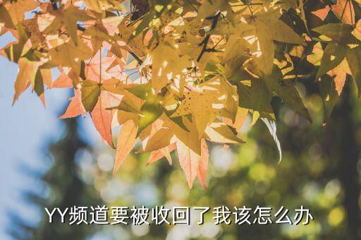 YY频道要被收回了我该怎么办