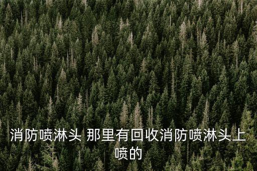 哪里回收喷丝板，广告牌的 废旧的喷绘布有回收的 吗