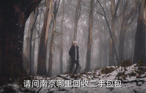 请问南京哪里回收二手包包