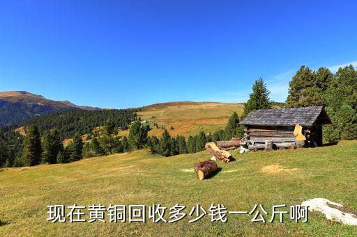 现在黄铜回收多少钱一公斤啊