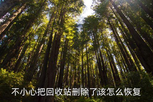 不小心把回收站删除了该怎么恢复