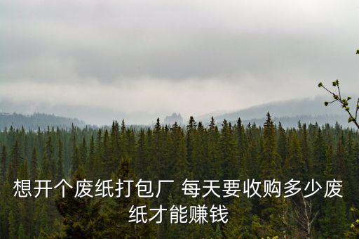 想开个废纸打包厂 每天要收购多少废纸才能赚钱