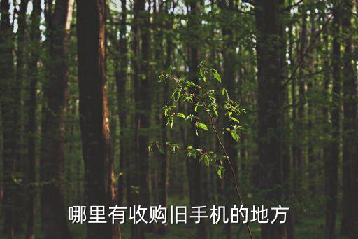 哪里有收购旧手机的地方