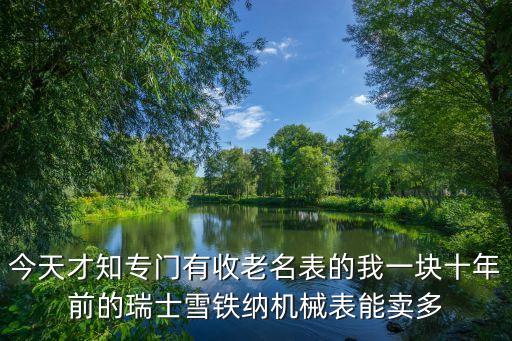 今天才知专门有收老名表的我一块十年前的瑞士雪铁纳机械表能卖多
