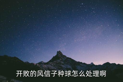 开败的风信子种球怎么处理啊