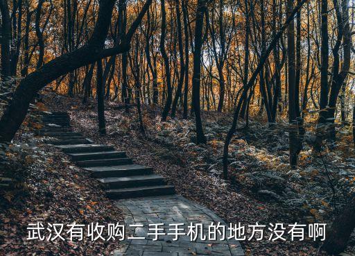 工业手机汉口哪里回收，汉口收购旧手机的地方在哪