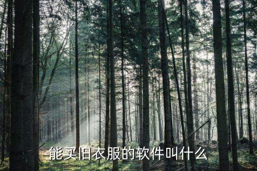 能买旧衣服的软件叫什么