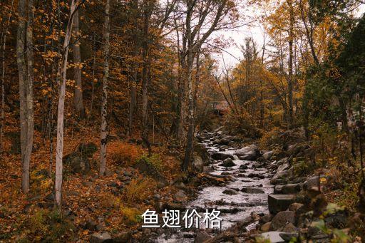 濮阳回收鱼翅价格多少，鱼翅多少钱