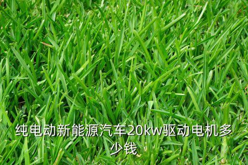 新能源电机回收价值多少，纯电动新能源汽车20kw驱动电机多少钱