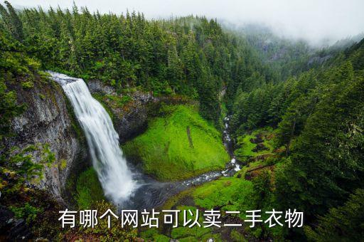 有哪个网站可以卖二手衣物