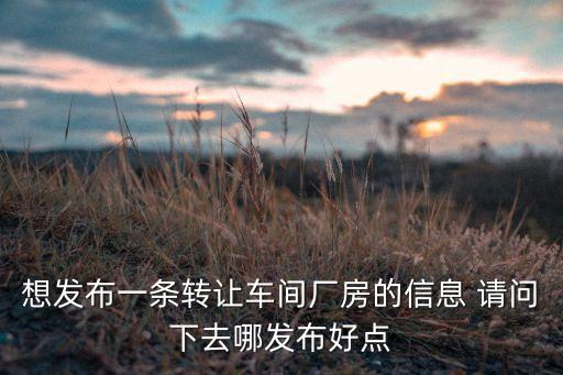 想发布一条转让车间厂房的信息 请问下去哪发布好点