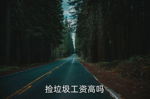 捡垃圾工资高吗