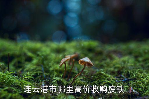 连云港市哪里高价收购废铁