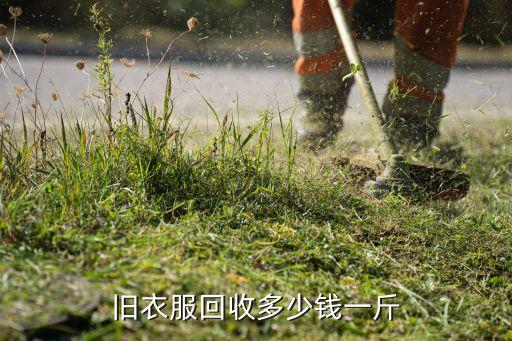 旧衣服回收多少钱一斤