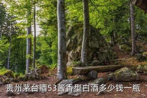 贵州茅台酒53酱香型白酒多少钱一瓶