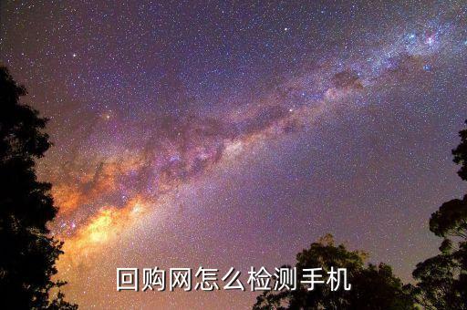 回购网怎么检测手机
