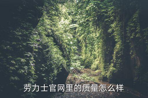 劳力士官网旗舰店，劳力士在天猫有旗舰店吗