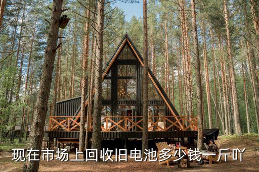 现在市场上回收旧电池多少钱一斤吖