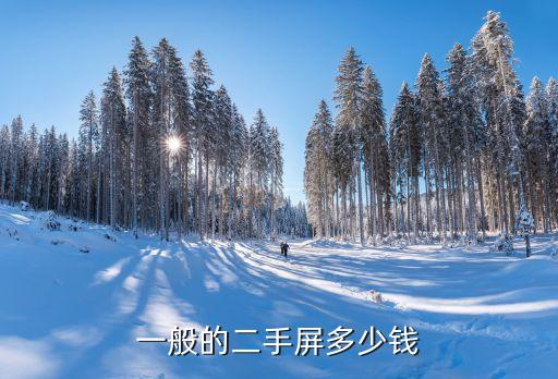 一般的二手屏多少钱