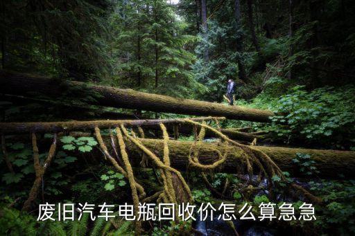 废旧汽车电瓶回收价怎么算急急