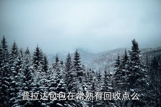 普拉达包包在常熟有回收点么