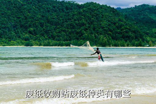 废纸收购站废纸种类有哪些