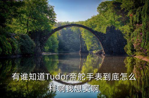 有谁知道Tudor帝舵手表到底怎么样啊我想买啊