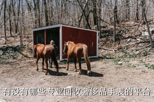 有没有哪些专业回收奢侈品手表的平台