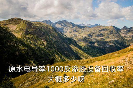 原水电导率1000反渗透设备回收率大概多少呀