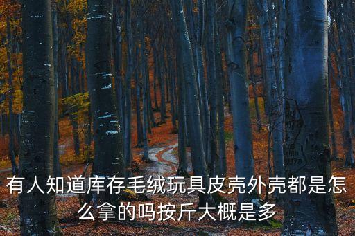 有人知道库存毛绒玩具皮壳外壳都是怎么拿的吗按斤大概是多