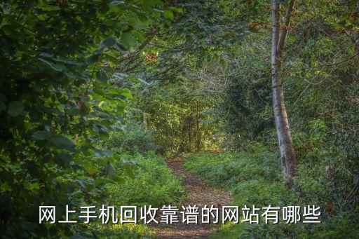 回收旧手机平台，网上手机回收靠谱的网站有哪些