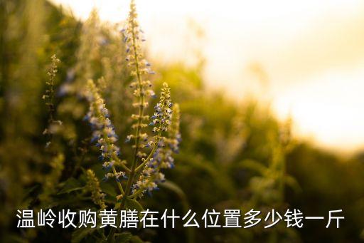 温岭收购黄膳在什么位置多少钱一斤