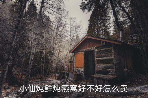 小仙炖鲜炖燕窝好不好怎么卖
