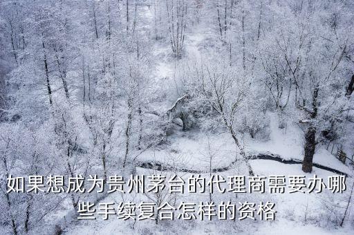 如果想成为贵州茅台的代理商需要办哪些手续复合怎样的资格